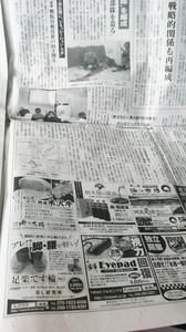 B2401591-0462-49E8-A798-A7F0FBB3A07B.jpeg
