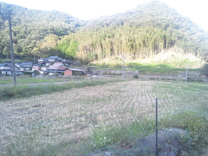 画像 164.jpg