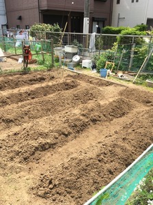 IMG_0324.JPG
