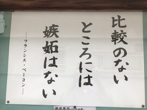 37B9CF37-2CD3-416B-9FF6-7DB0F4122F3D.jpeg
